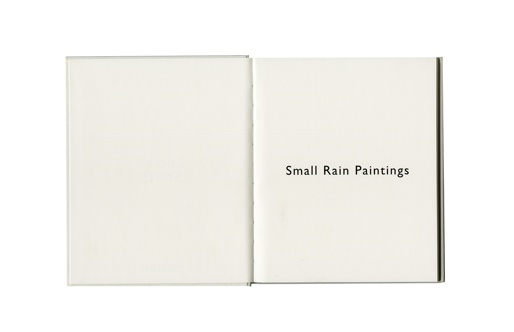 Small Rain Paintings (Catalogue)